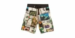 Protest Badeshorts COOK Beachshort Grey Green